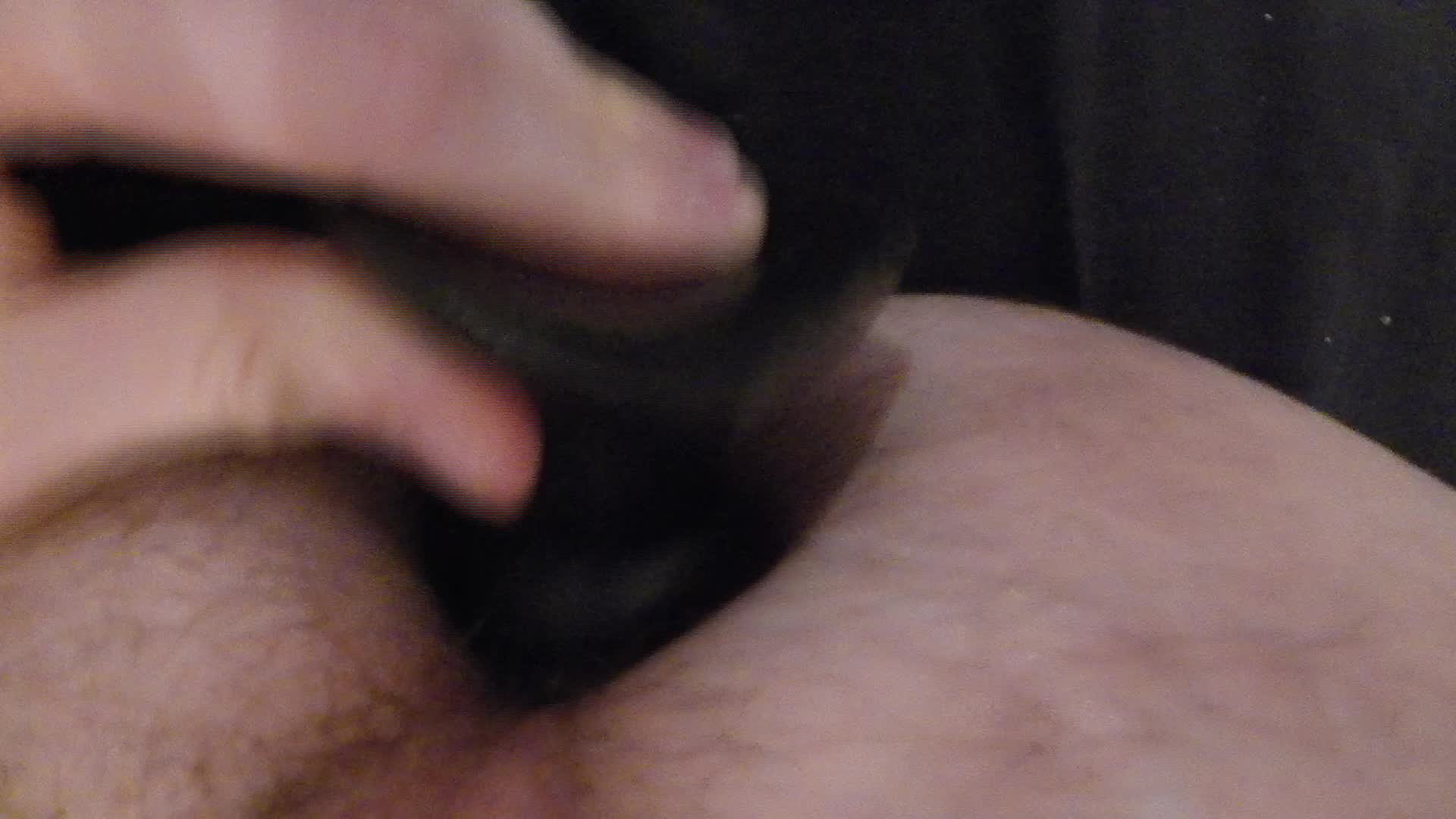 Training my sissy ass